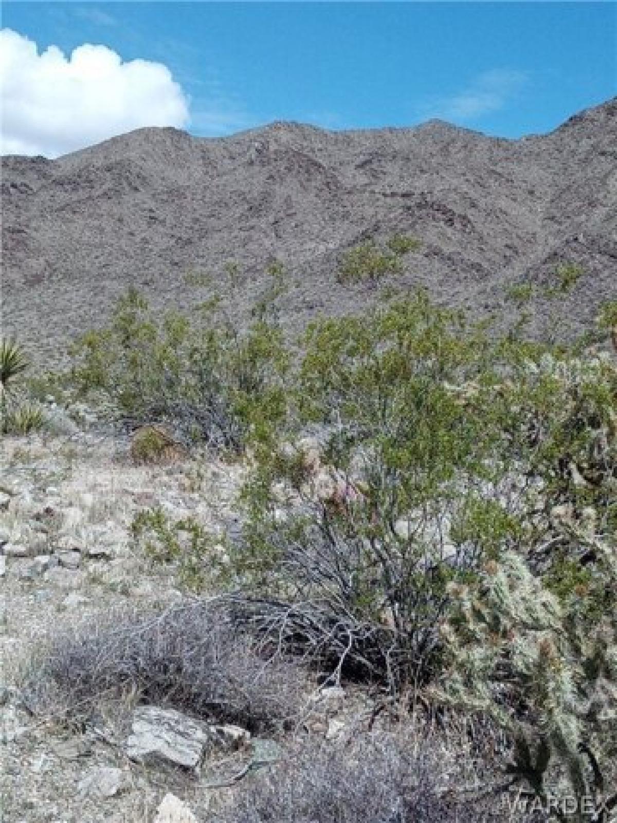 Picture of Residential Land For Sale in Meadview, Arizona, United States