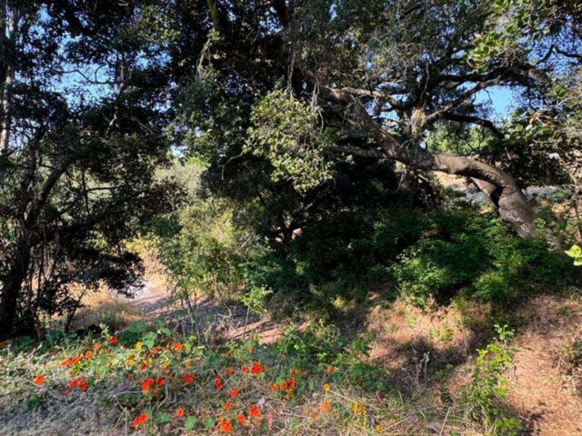 Picture of Residential Land For Sale in Soquel, California, United States