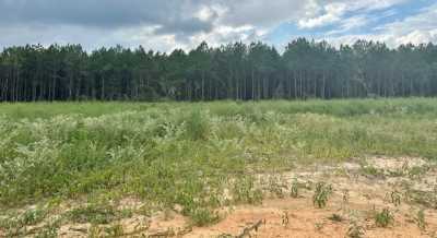 Residential Land For Sale in Bogue Chitto, Mississippi