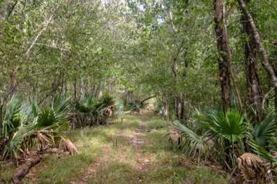 Residential Land For Sale in Saint Gabriel, Louisiana