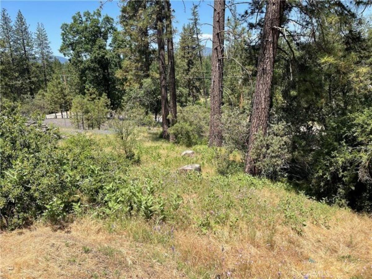 Picture of Residential Land For Sale in Oakhurst, California, United States