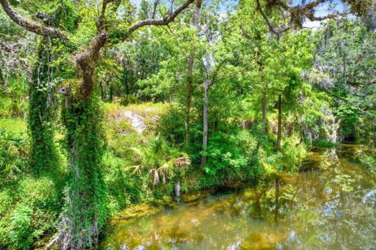 Picture of Residential Land For Sale in Valrico, Florida, United States