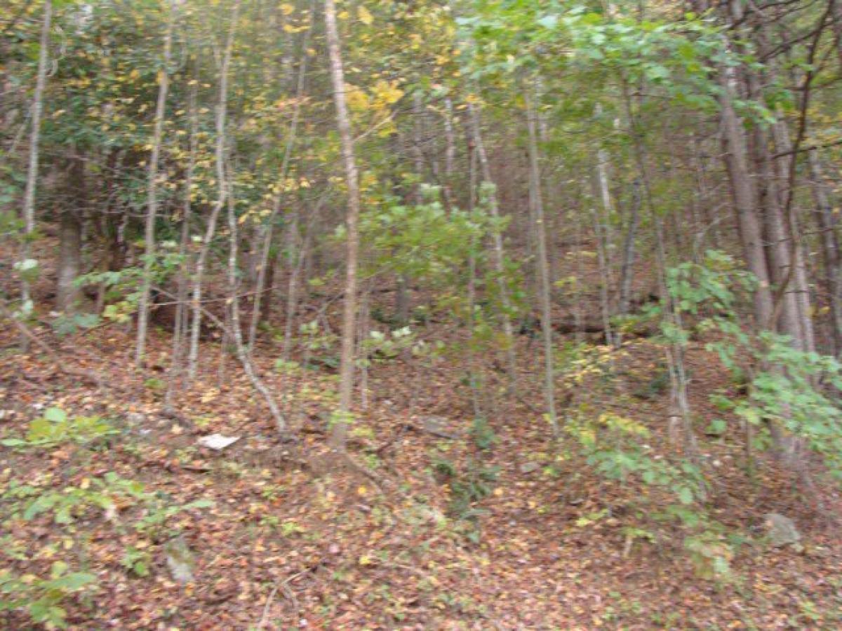 Picture of Residential Land For Rent in Fancy Gap, Virginia, United States