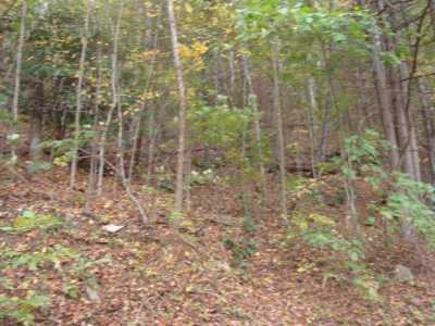 Residential Land For Rent in Fancy Gap, Virginia