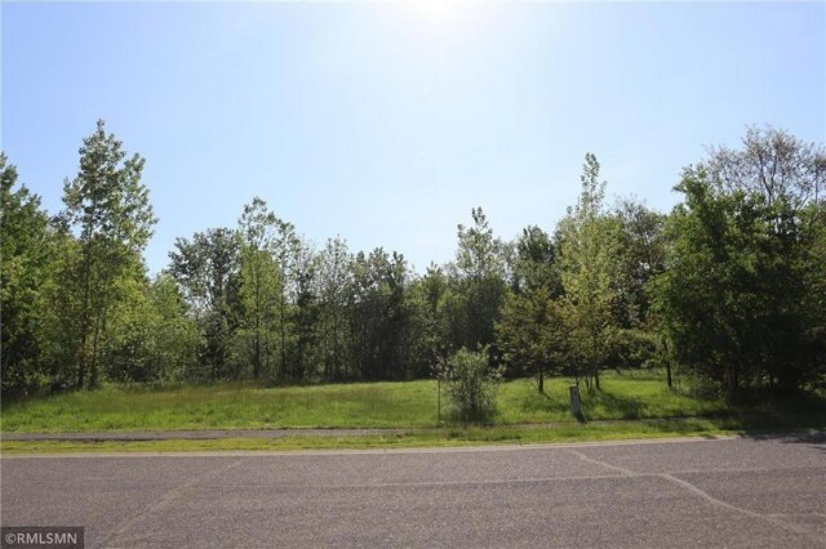 Picture of Residential Land For Sale in Sandstone, Minnesota, United States