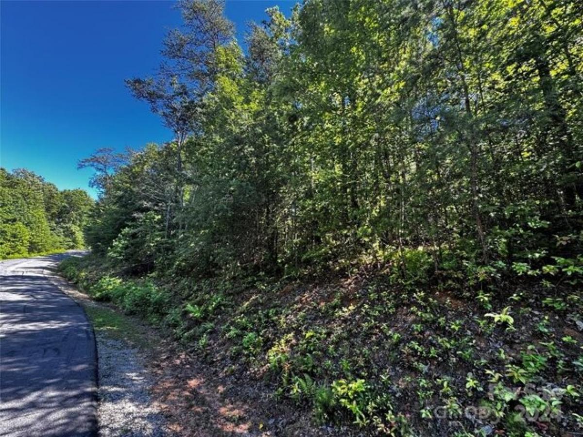 Picture of Residential Land For Sale in Marion, North Carolina, United States