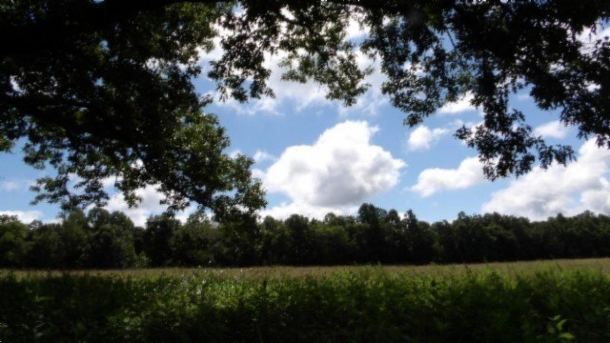 Picture of Residential Land For Sale in Gainesboro, Tennessee, United States