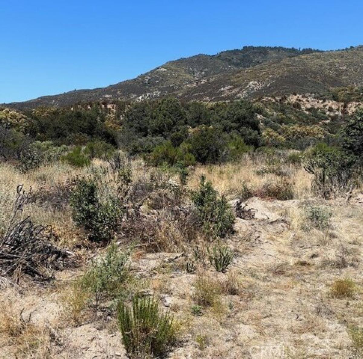 Picture of Residential Land For Sale in Anza, California, United States