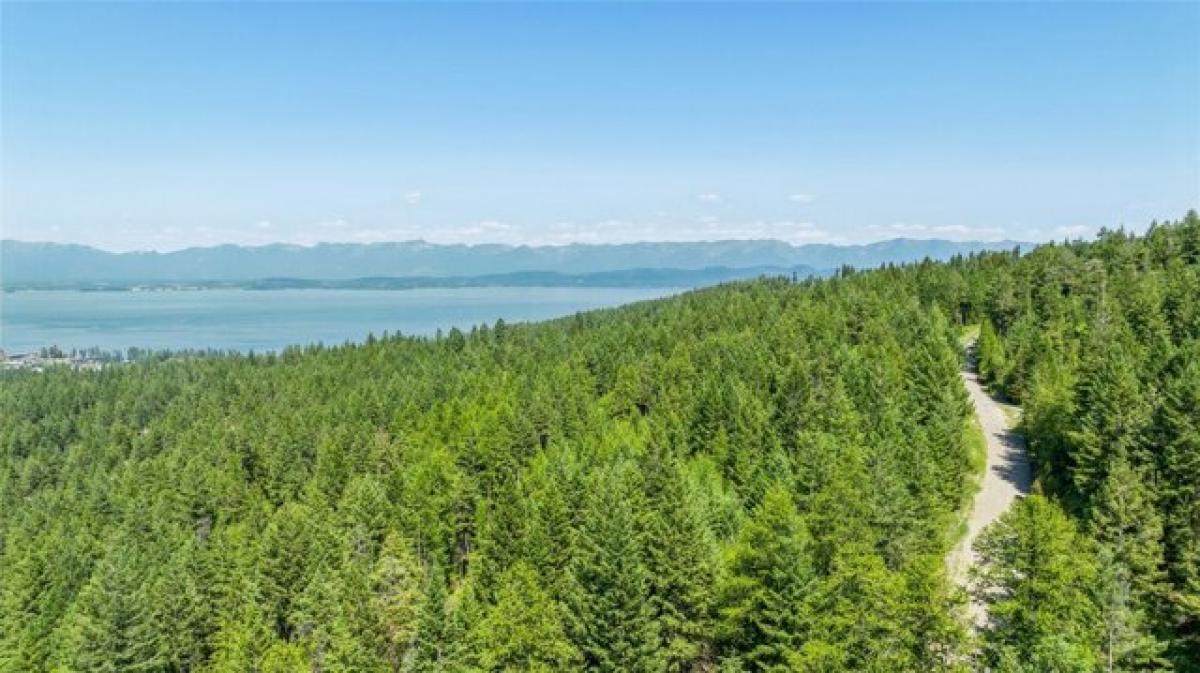 Picture of Residential Land For Sale in Lakeside, Montana, United States