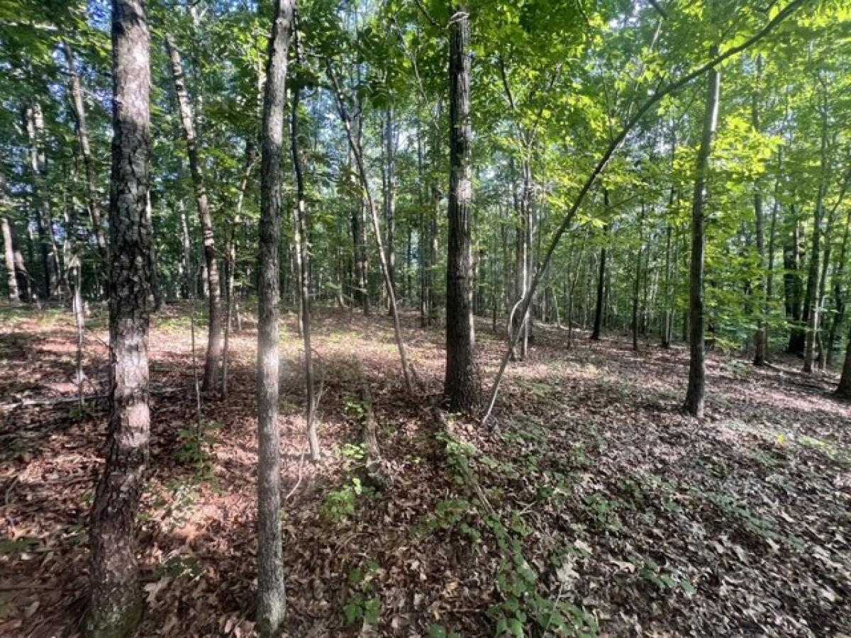 Picture of Residential Land For Sale in Big Sandy, Tennessee, United States