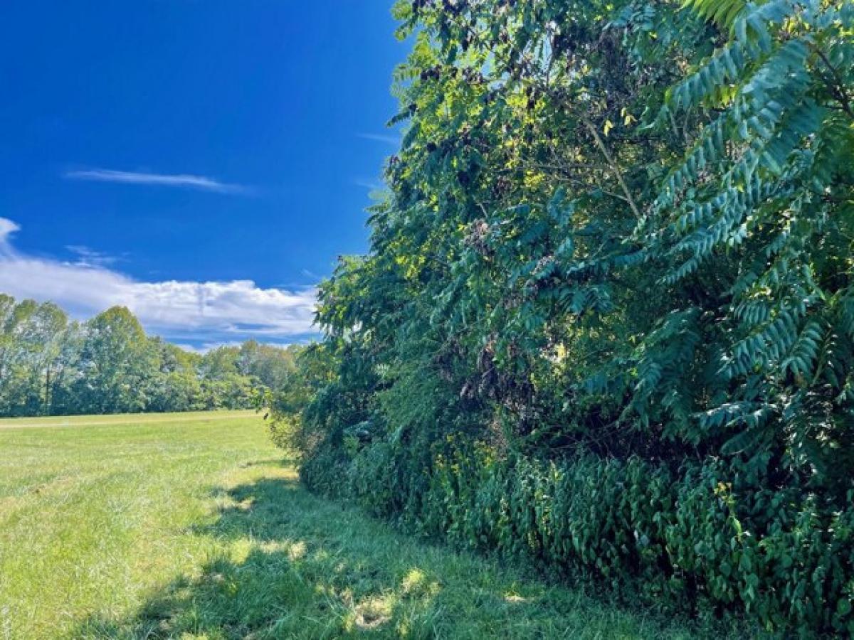 Picture of Residential Land For Rent in Russell Springs, Kentucky, United States