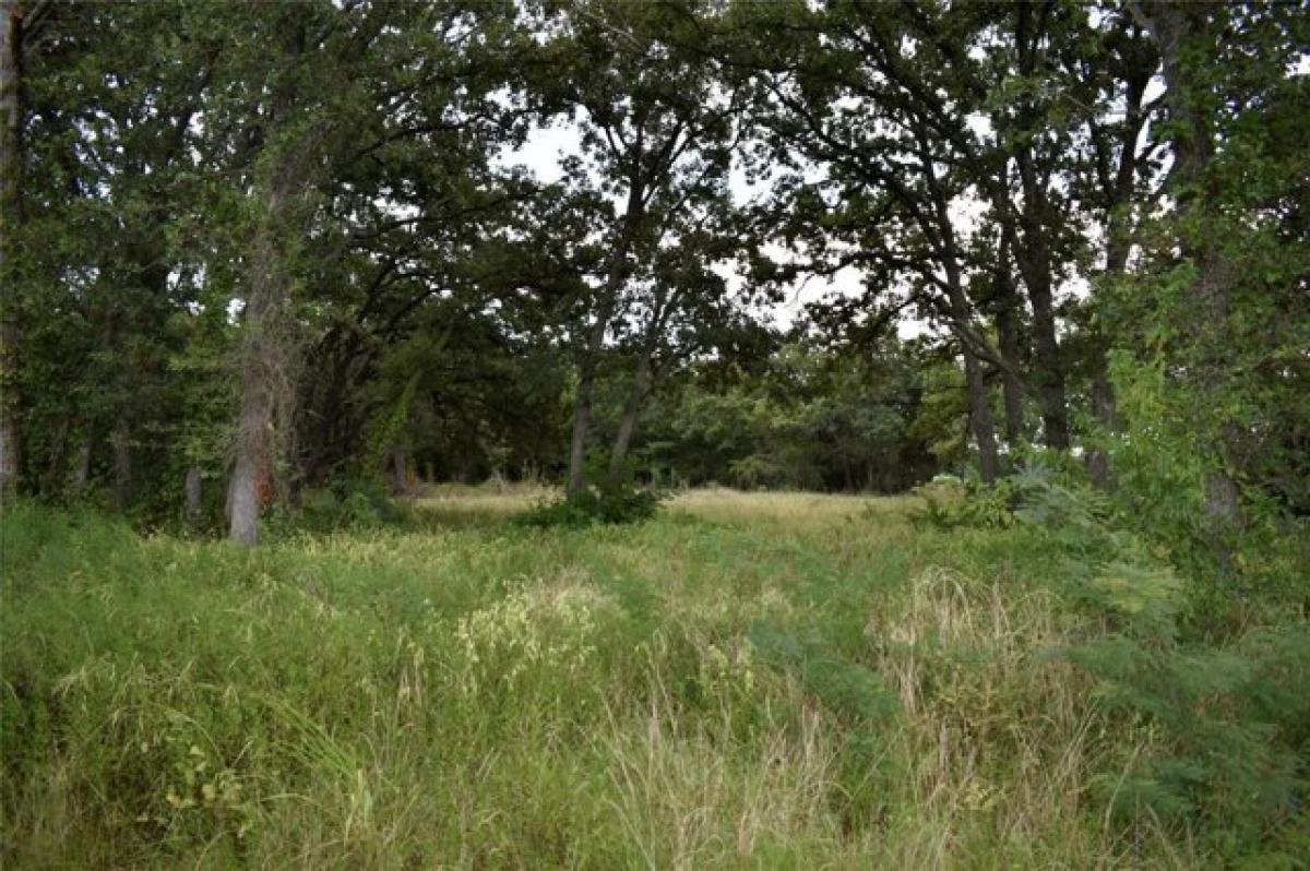 Picture of Residential Land For Sale in Royse City, Texas, United States