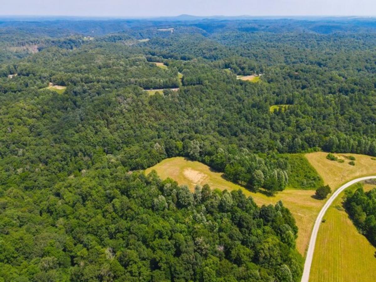 Picture of Residential Land For Sale in Hilham, Tennessee, United States