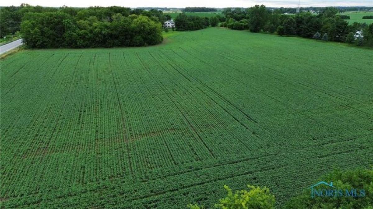 Picture of Residential Land For Sale in Sylvania, Ohio, United States