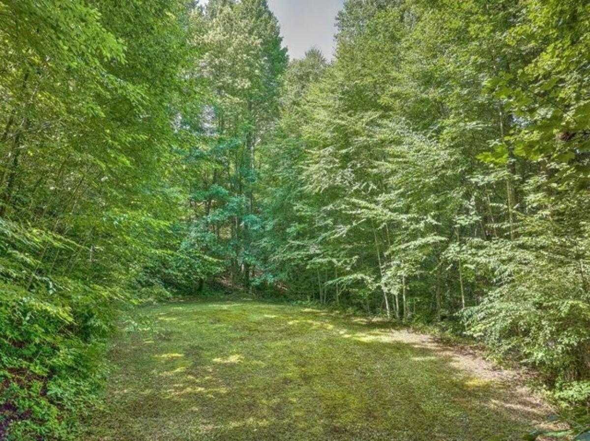 Picture of Residential Land For Sale in Bryson City, North Carolina, United States