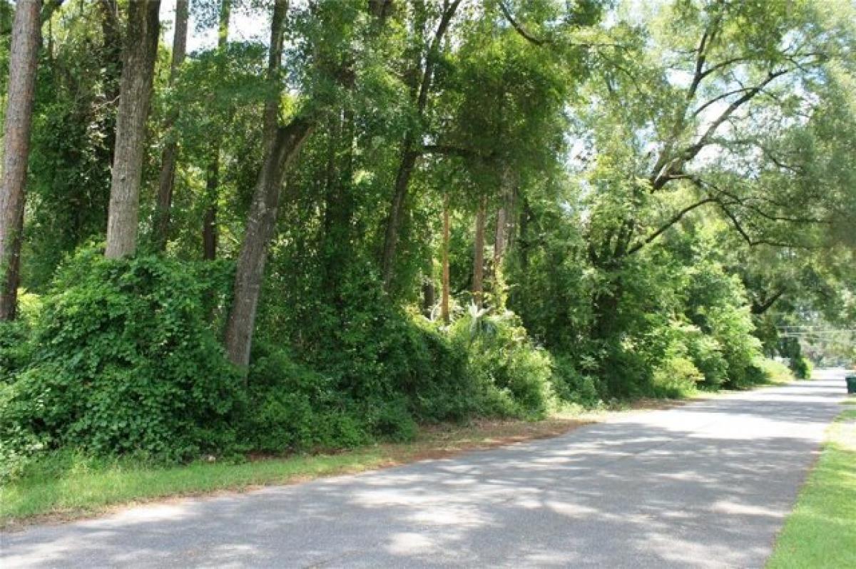 Picture of Residential Land For Sale in Newberry, Florida, United States