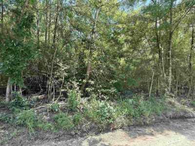 Residential Land For Sale in Fred, Texas