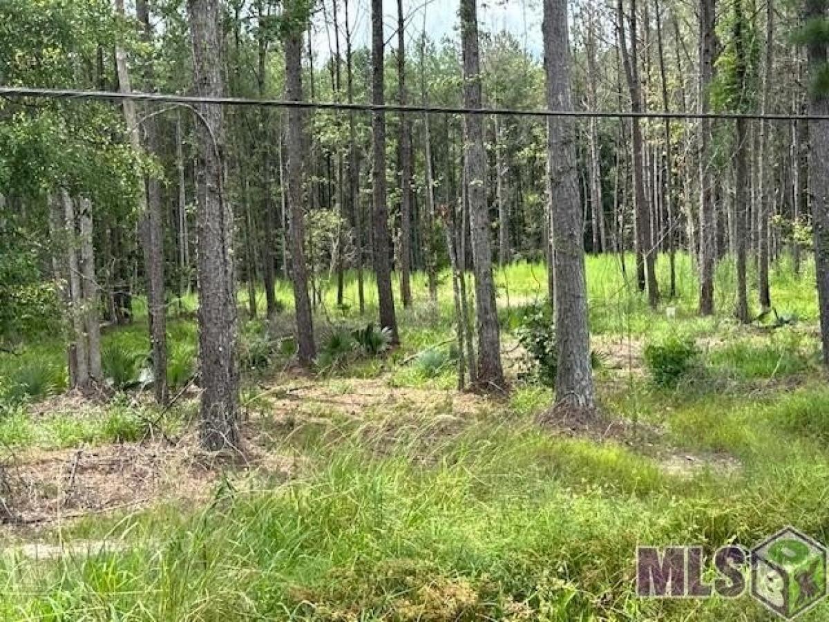 Picture of Residential Land For Sale in Walker, Louisiana, United States