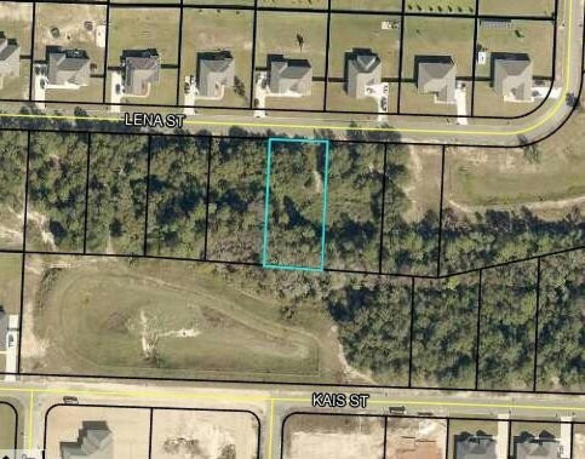 Picture of Residential Land For Sale in Baker, Florida, United States