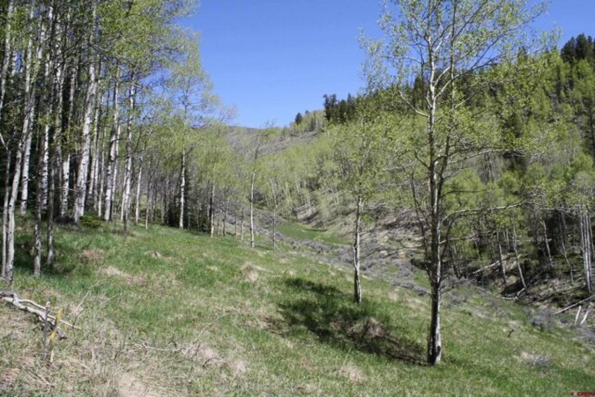 Picture of Residential Land For Sale in Pitkin, Colorado, United States