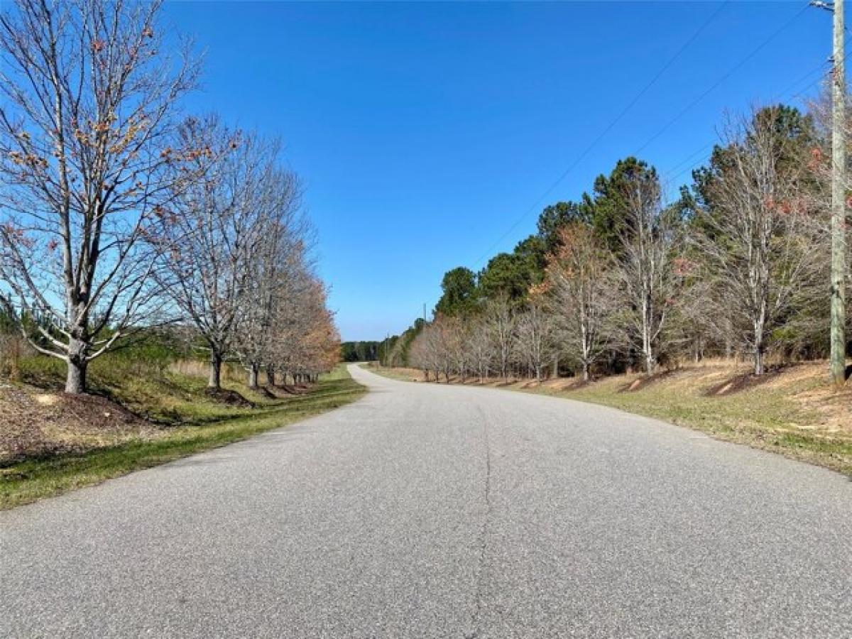 Picture of Residential Land For Sale in Tignall, Georgia, United States