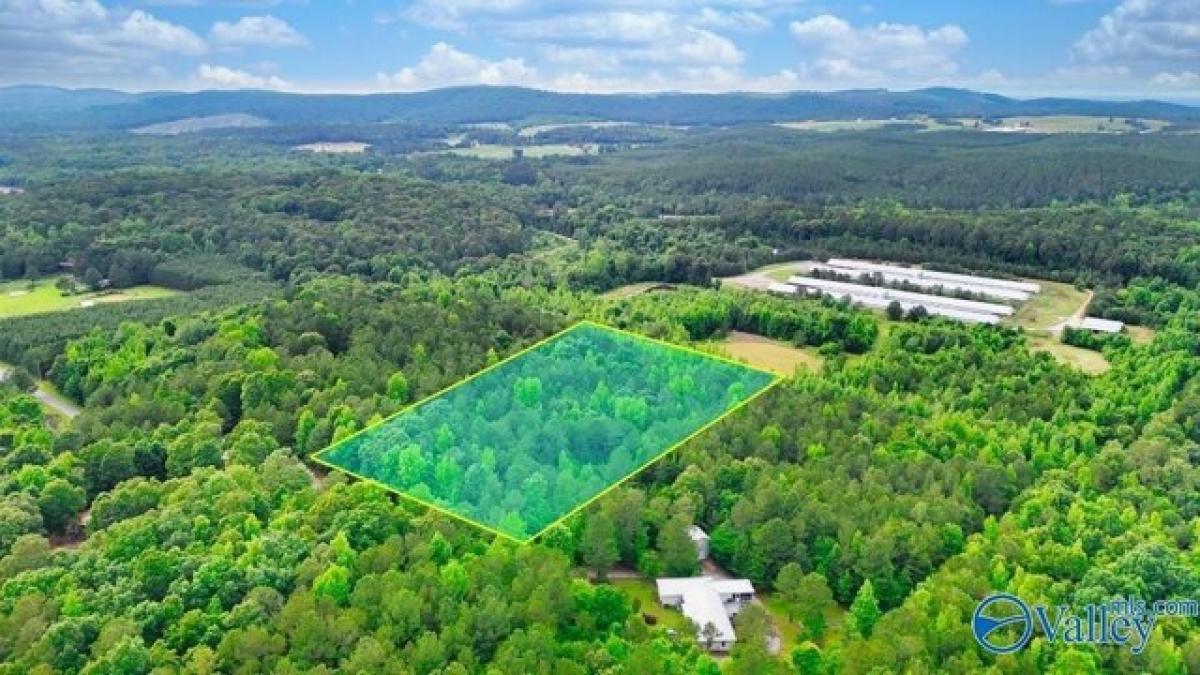 Picture of Residential Land For Sale in Piedmont, Alabama, United States