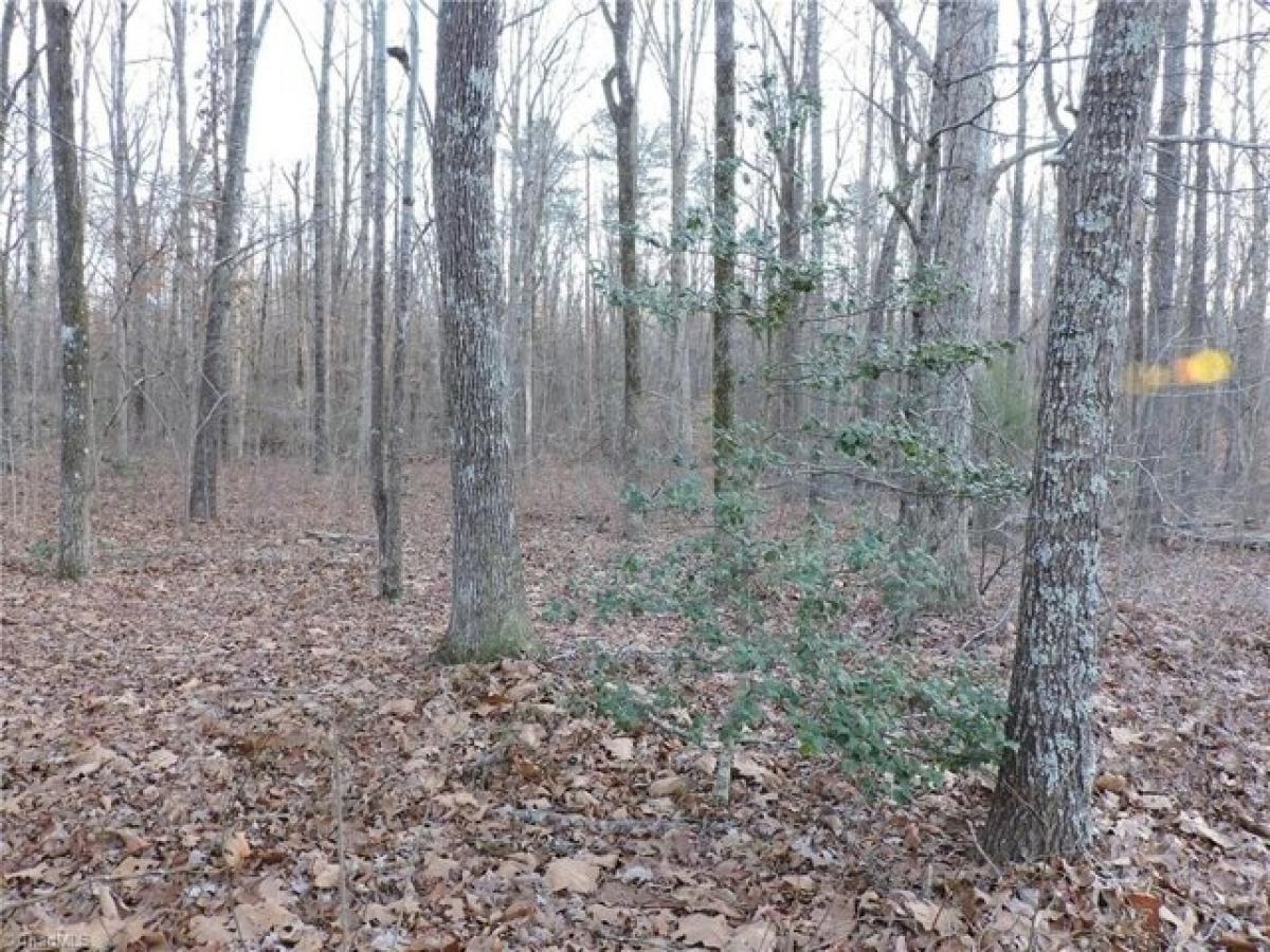 Picture of Residential Land For Sale in Lexington, North Carolina, United States