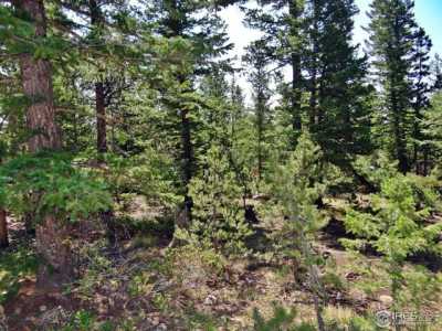 Residential Land For Sale in Red Feather Lakes, Colorado