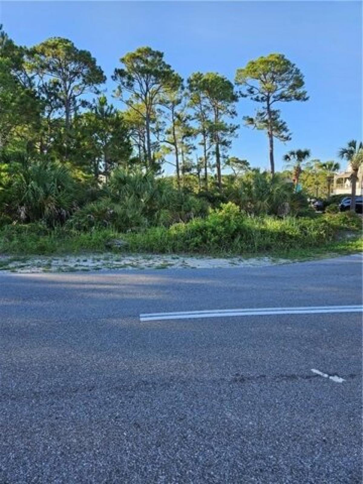 Picture of Residential Land For Sale in Dauphin Island, Alabama, United States