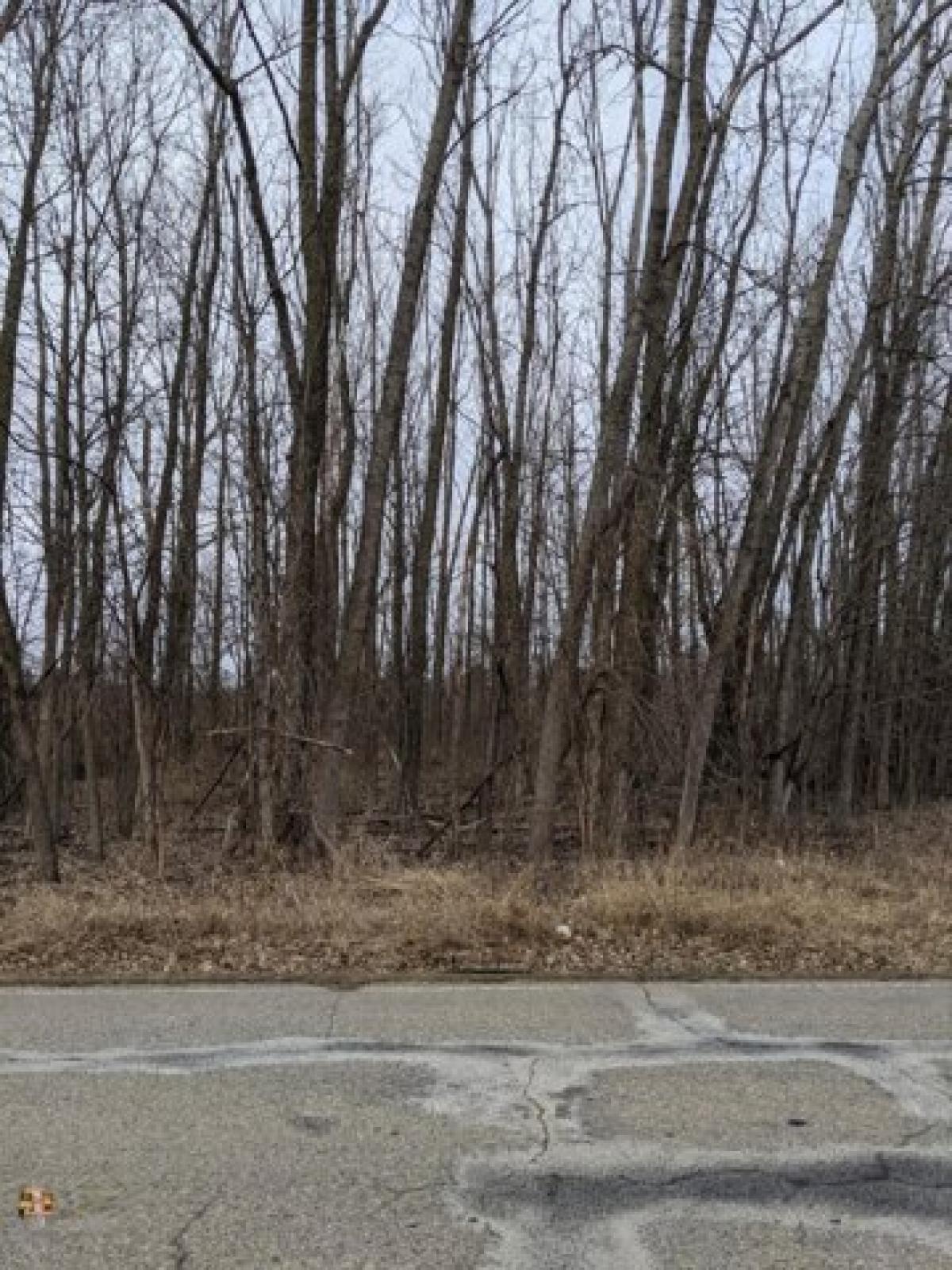 Picture of Residential Land For Sale in Maple Rapids, Michigan, United States