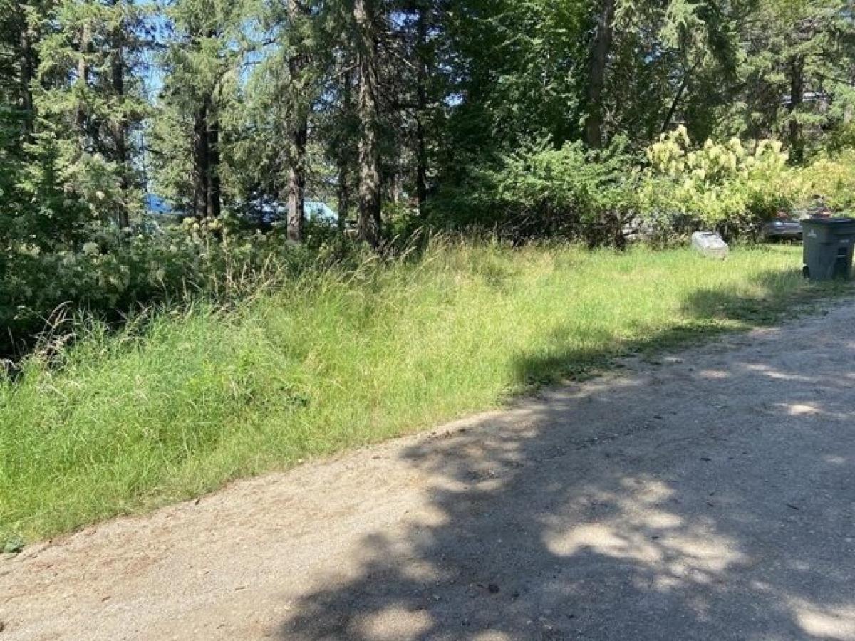 Picture of Residential Land For Sale in Loon Lake, Washington, United States