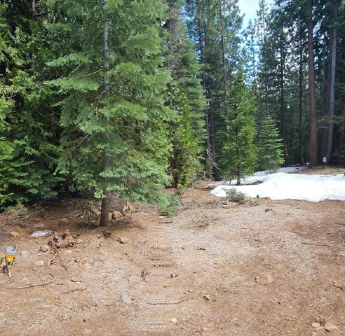 Picture of Residential Land For Sale in Emigrant Gap, California, United States