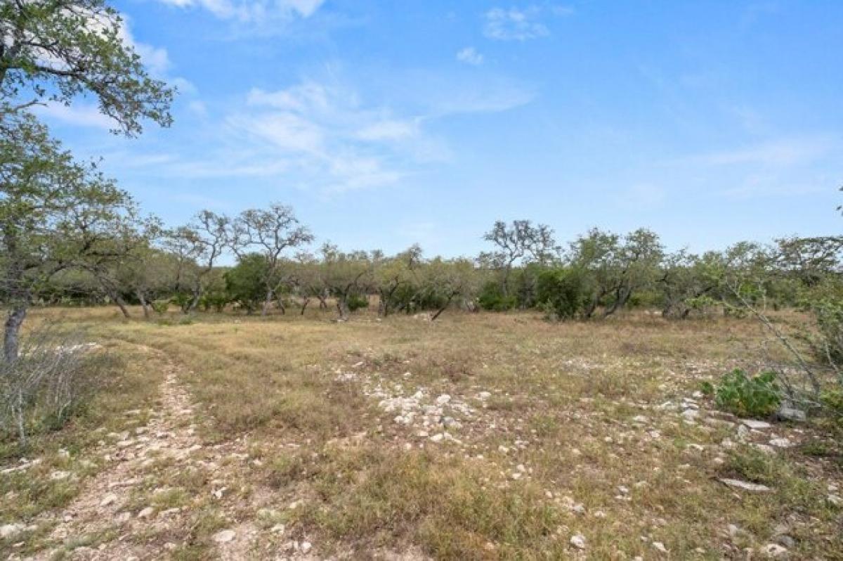 Picture of Home For Sale in Hondo, Texas, United States