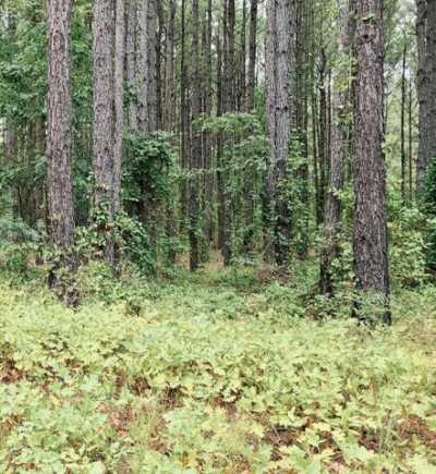 Residential Land For Sale in Keysville, Georgia