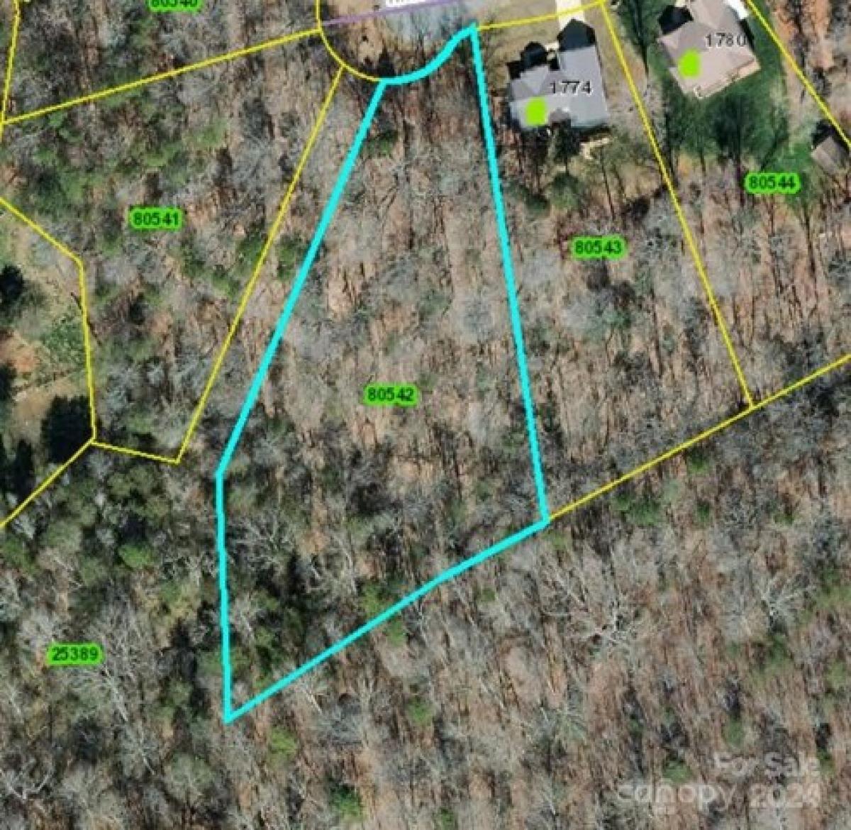 Picture of Residential Land For Sale in Lincolnton, North Carolina, United States