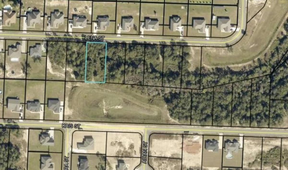 Picture of Residential Land For Sale in Baker, Florida, United States