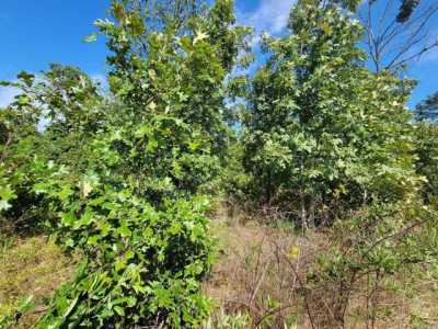 Residential Land For Sale in Dover, Arkansas