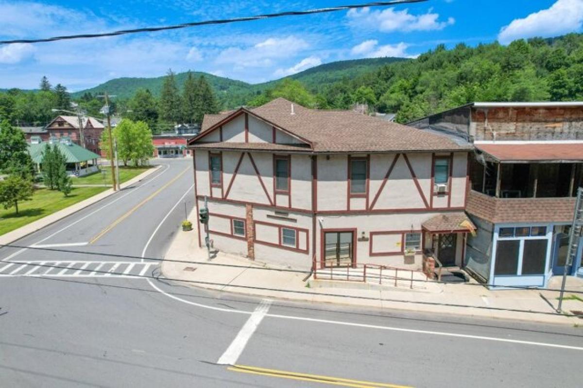 Picture of Home For Sale in Hancock, New York, United States