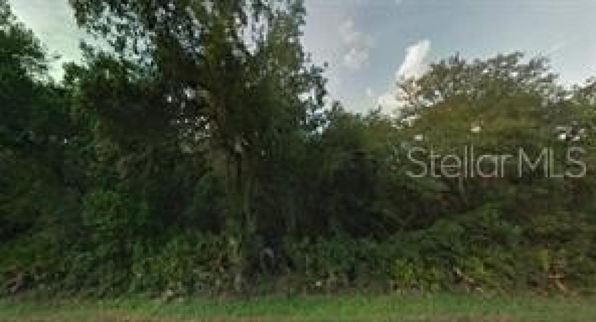 Picture of Residential Land For Sale in Citra, Florida, United States