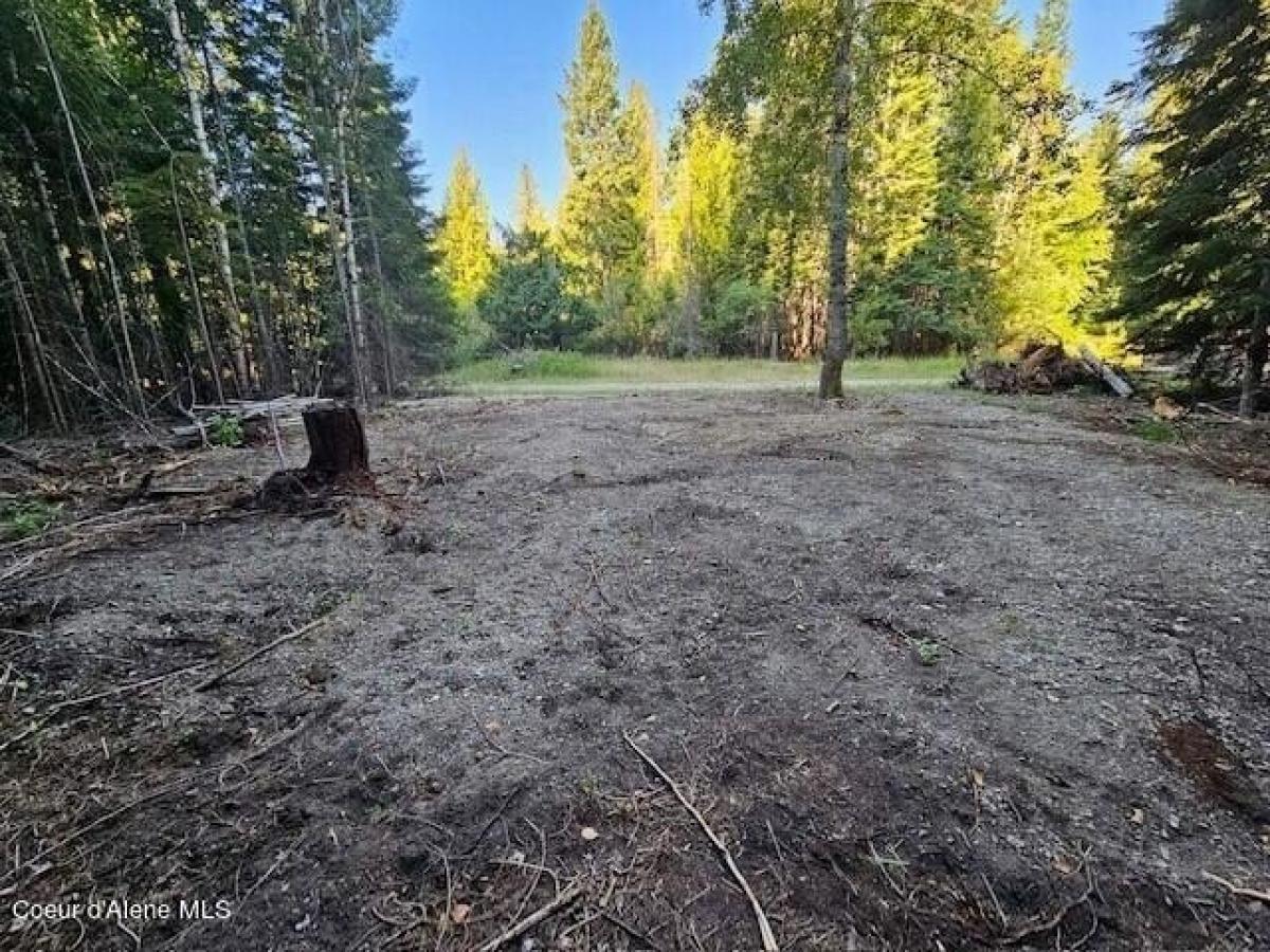 Picture of Residential Land For Sale in Bayview, Idaho, United States