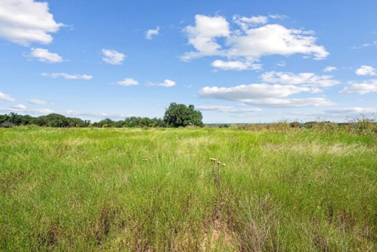 Picture of Home For Sale in Mingus, Texas, United States