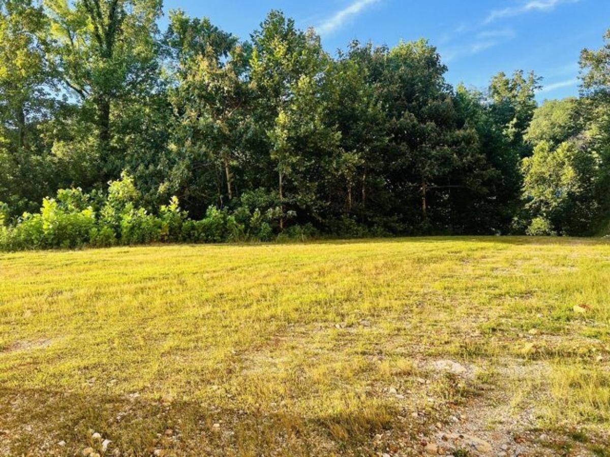 Picture of Residential Land For Sale in Waverly, Tennessee, United States