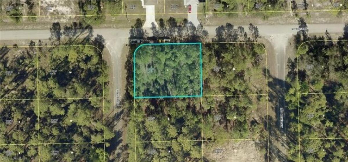 Picture of Residential Land For Sale in Alva, Florida, United States