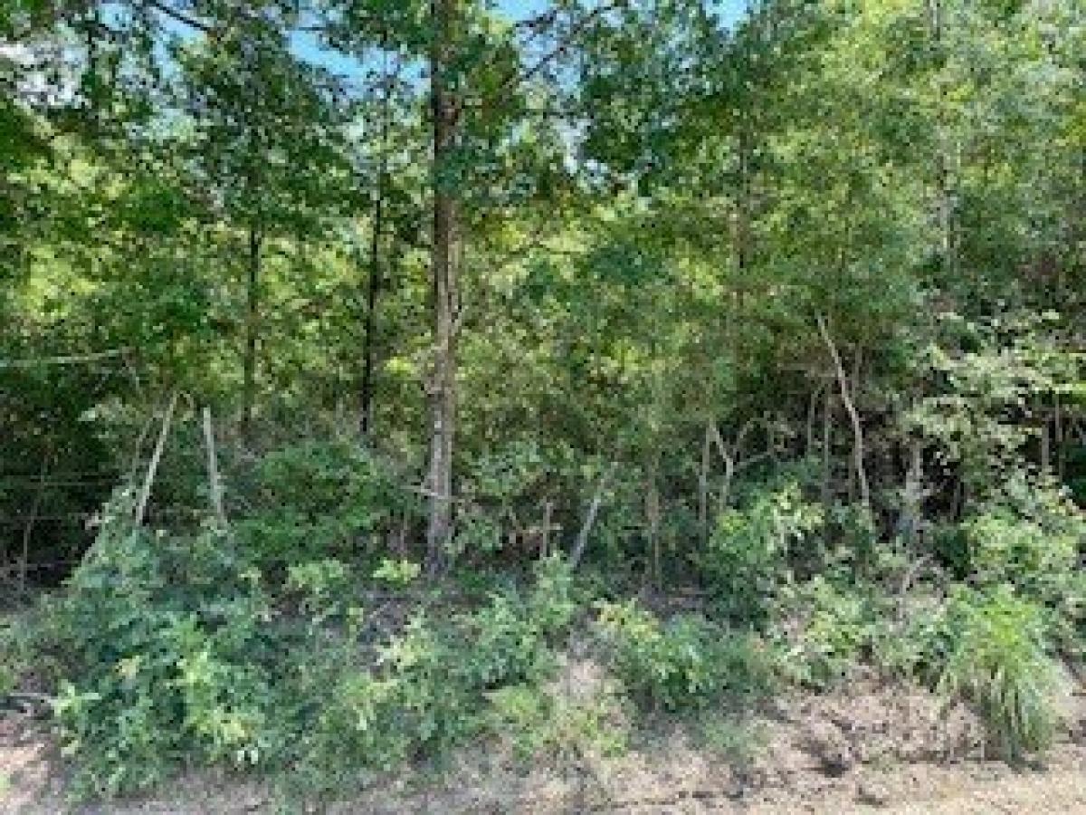 Picture of Residential Land For Sale in Fred, Texas, United States