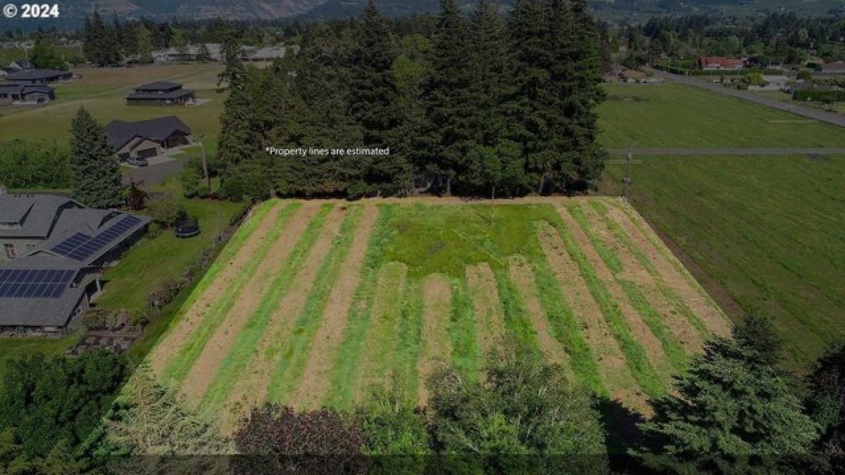 Picture of Residential Land For Sale in Hood River, Oregon, United States