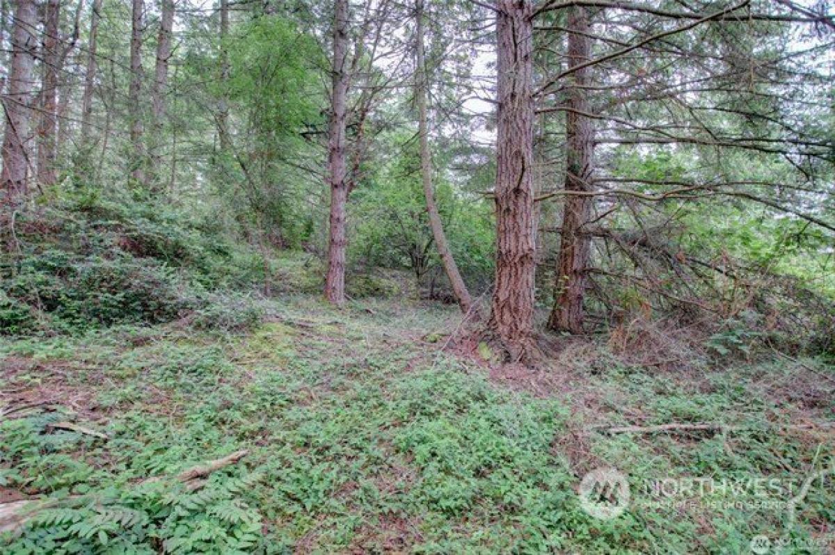 Picture of Residential Land For Sale in Freeland, Washington, United States