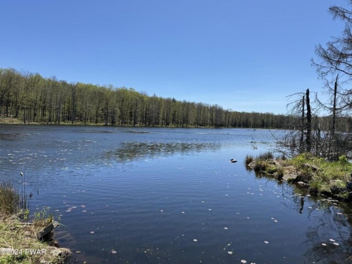 Picture of Residential Land For Sale in Equinunk, Pennsylvania, United States