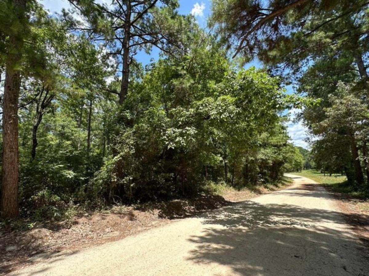 Picture of Residential Land For Sale in Grapeland, Texas, United States