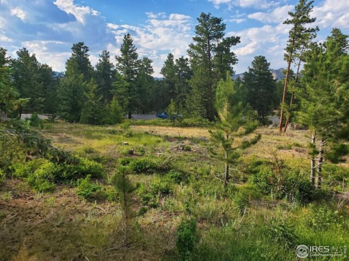 Picture of Residential Land For Sale in Red Feather Lakes, Colorado, United States