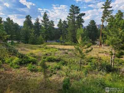 Residential Land For Sale in Red Feather Lakes, Colorado